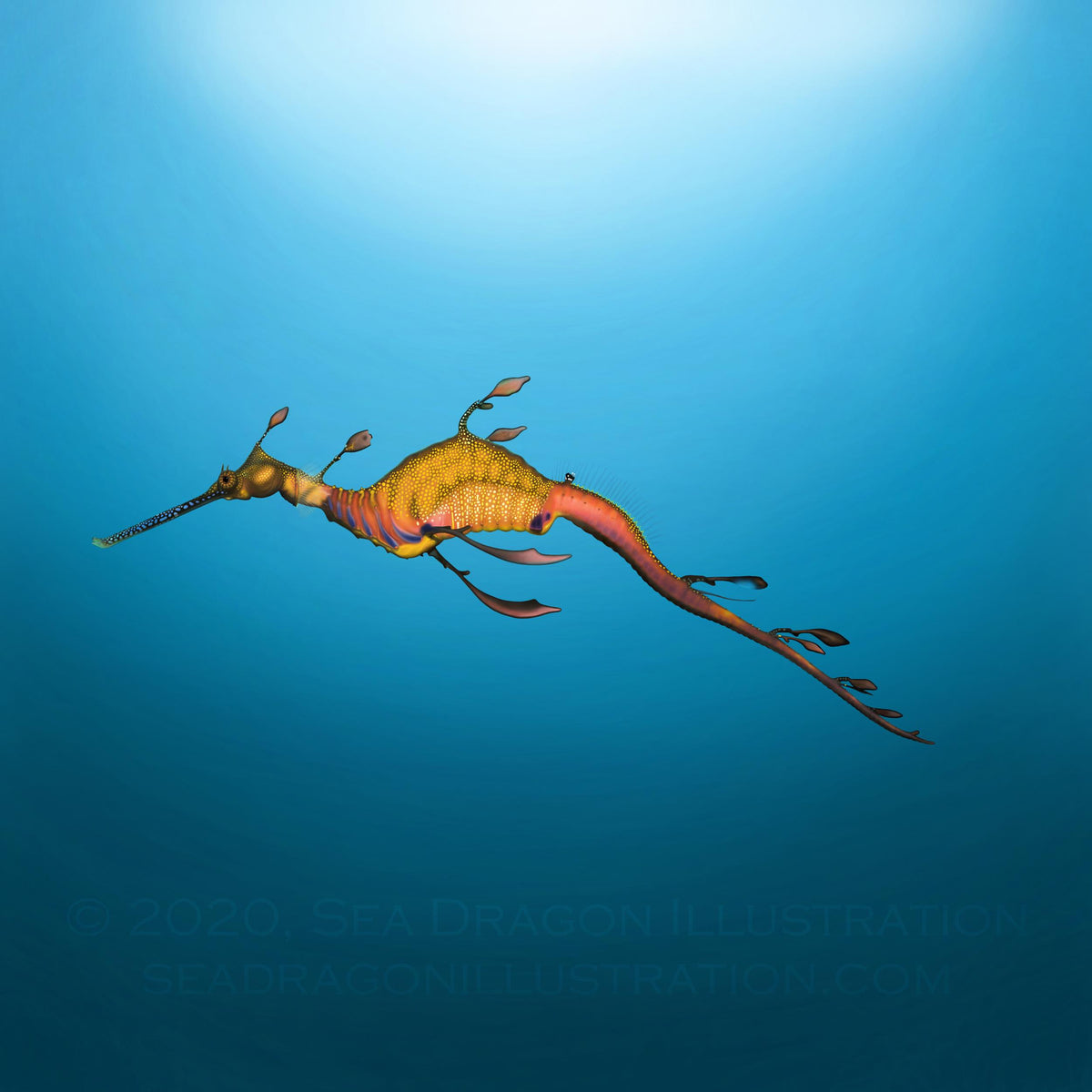 Leggings – Sea Dragon Illustration