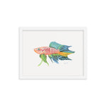 Load image into Gallery viewer, Panchax Killifish Framed poster
