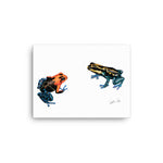 Load image into Gallery viewer, Poison Dart Frogs Canvas Print
