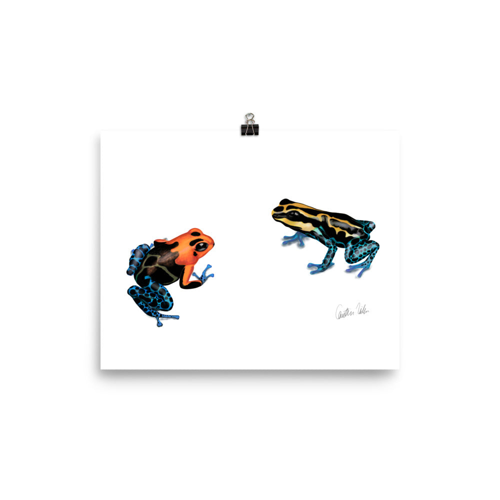 Poison Dart Frogs Poster