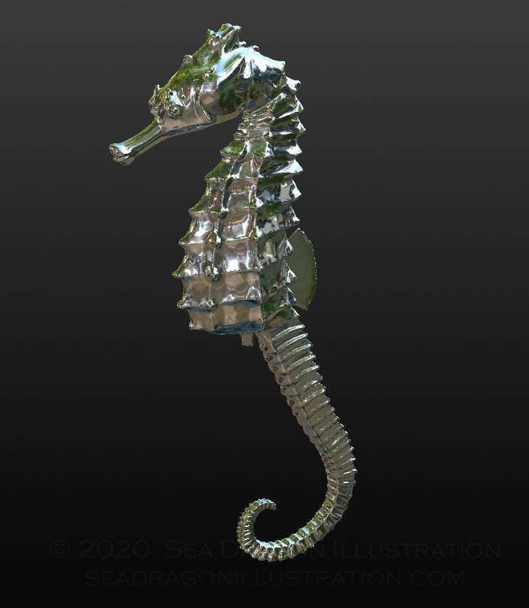 Female lined seahorse (Hippocampus erectus) digitally modeled in Sculptris