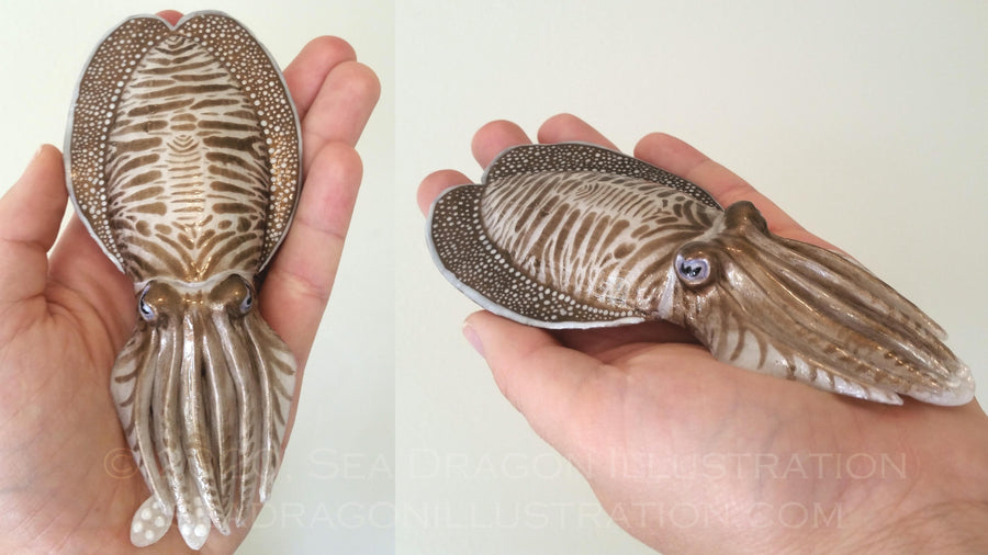 Common cuttlefish (Sepia officinalis) cast in Dragonskin 10 platinum silicone, painted with Psycho Paint base tinted with a variety of powdered mica pigments