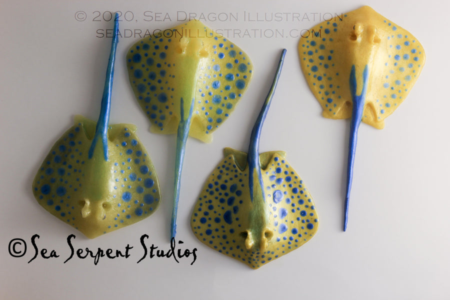Blue-spotted stingrays (Taeniura lymma) cast in Dragonskin 10 platinum silicone, painted with Psycho Paint base tinted with a variety of powdered mica pigments