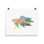 Load image into Gallery viewer, Panchax Killifish Poster
