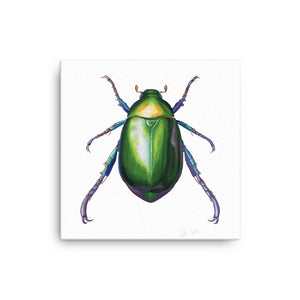 Jewel Scarab Beetle Canvas Print