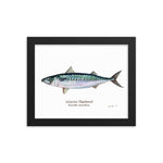 Load image into Gallery viewer, Atlantic Mackerel Framed Poster
