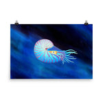 Load image into Gallery viewer, Colorful Nautilus Poster
