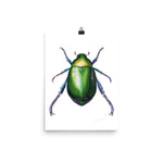 Load image into Gallery viewer, Jewel Scarab Beetle Poster

