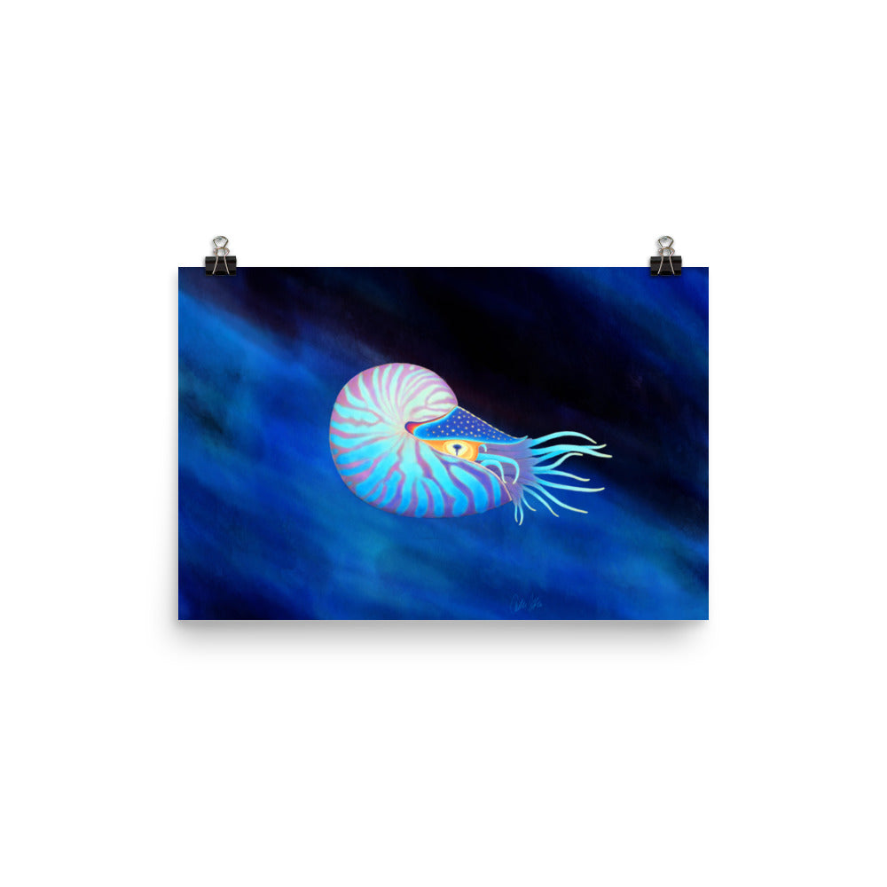 Colorful Nautilus Poster
