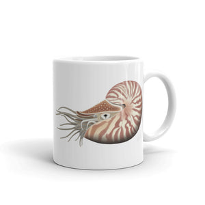 Chambered Nautilus Mug
