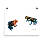 Load image into Gallery viewer, Poison Dart Frogs Poster
