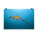 Load image into Gallery viewer, Weedy Sea Dragon Poster
