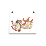 Load image into Gallery viewer, Flamboyant Cuttlefish Poster
