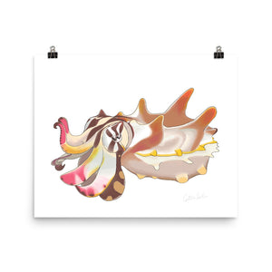 Flamboyant Cuttlefish Poster