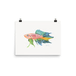 Load image into Gallery viewer, Panchax Killifish Poster
