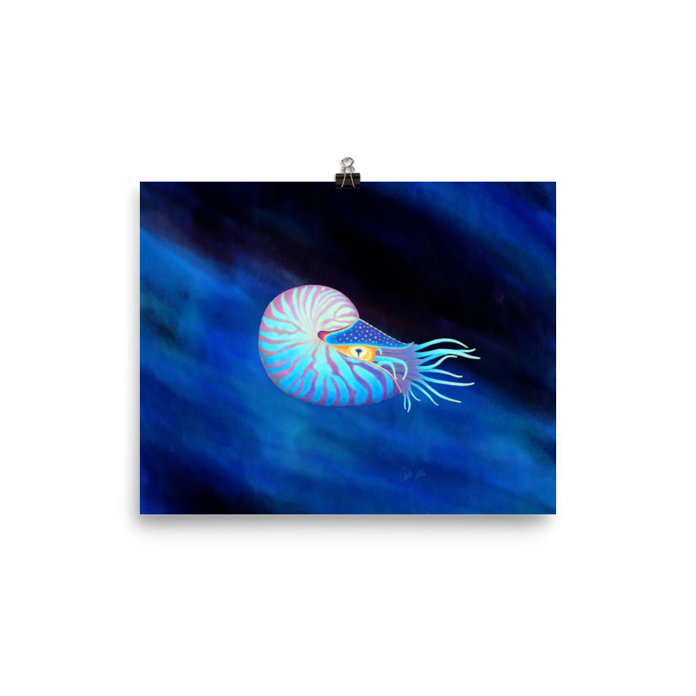 Colorful Nautilus Poster