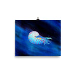 Load image into Gallery viewer, Colorful Nautilus Poster
