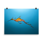 Load image into Gallery viewer, Weedy Sea Dragon Poster
