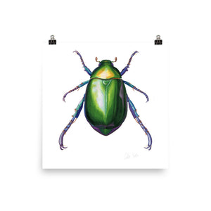 Jewel Scarab Beetle Poster