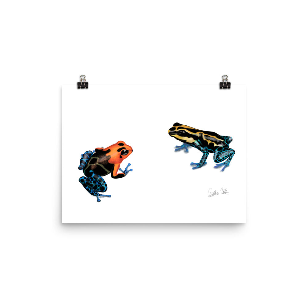 Poison Dart Frogs Poster