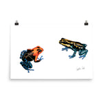 Load image into Gallery viewer, Poison Dart Frogs Poster
